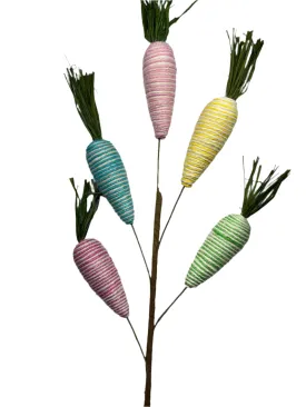 30" Carrot Spray Pastel