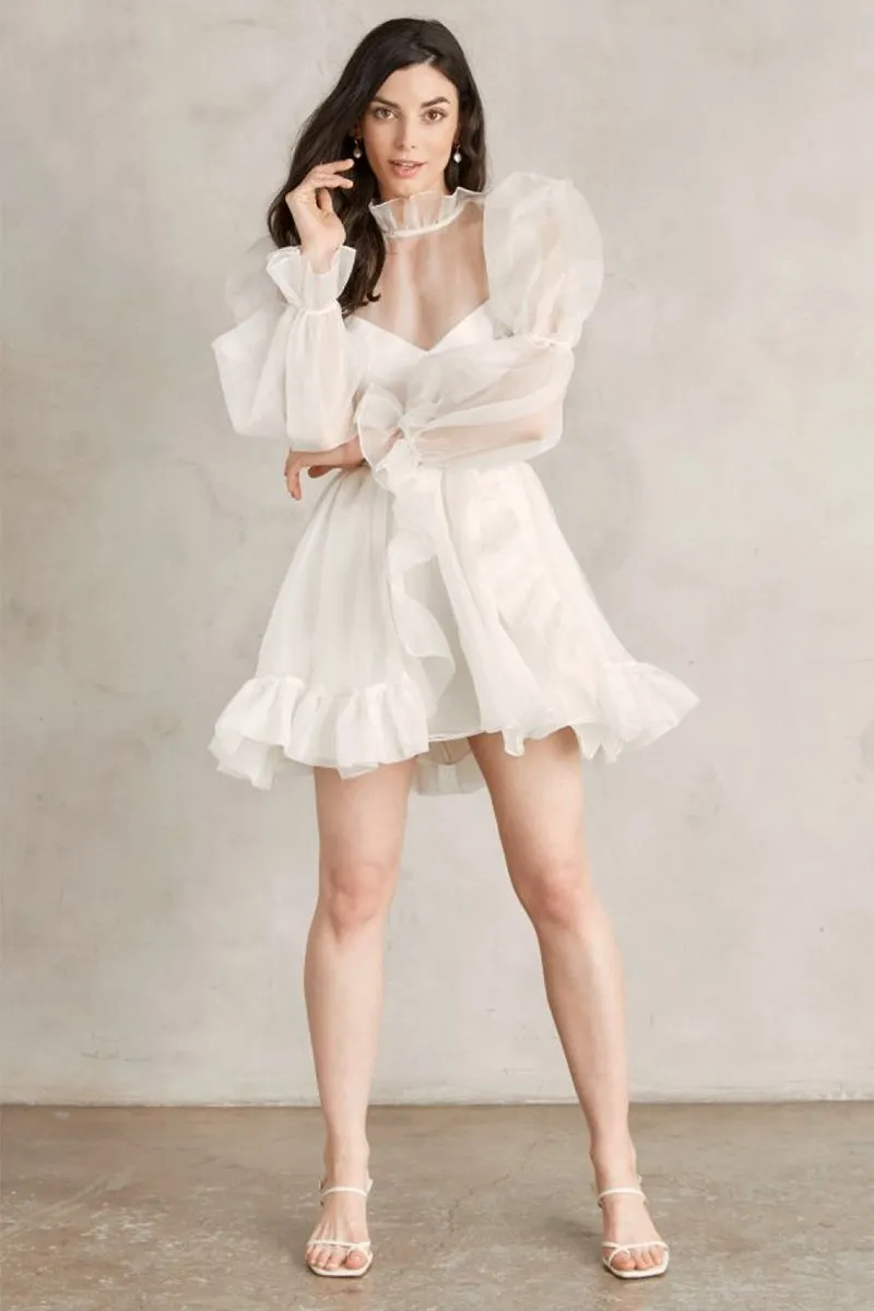 Wondrous Romance Long Trendy Puff Sleeves Mini Dress