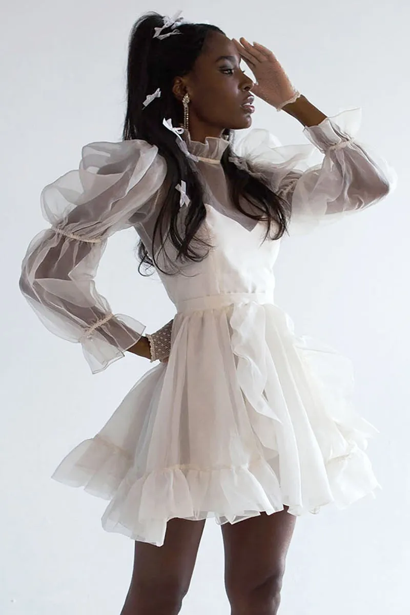 Wondrous Romance Long Trendy Puff Sleeves Mini Dress
